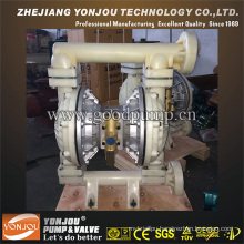 Double Diaphragm Pump PVDF Anti Corrosion